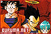 Buruma Network Buruma Network